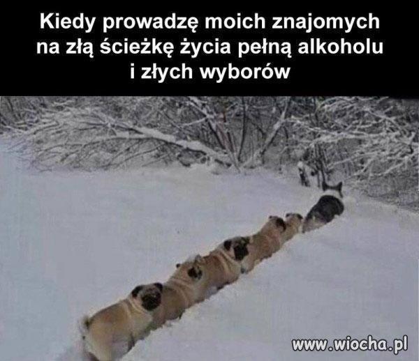 Życie na krawędzi