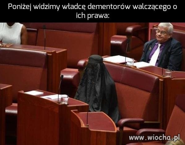 Wolność, równość, tolerancja!