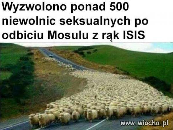 To wszystko dzięki amerykańskim oddziałom