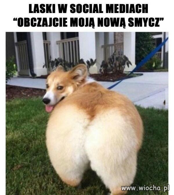 Laski w social mediach takie są