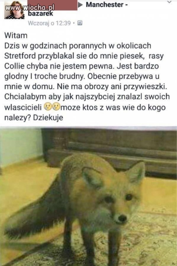 Dziwny jakiś