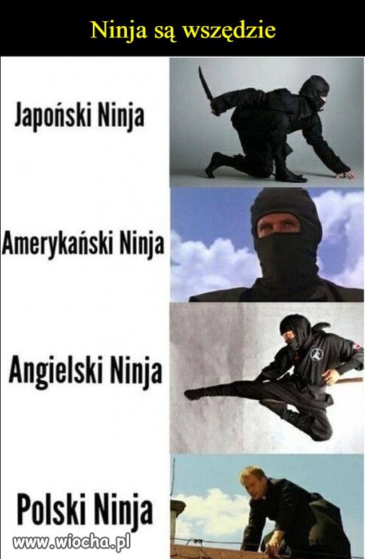 Ninja