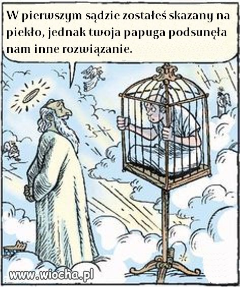 Nie dręcz zwierząt