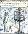 Nie dręcz zwierząt