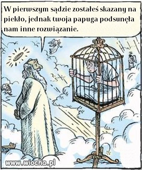 Nie dręcz zwierząt
