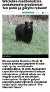 Samoobrona w Rosji