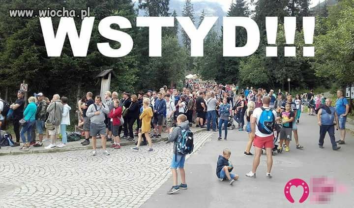 Kolejka na bryczke do Morskiego Oka