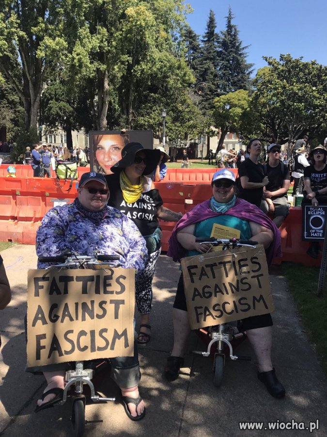 Antifa w USA