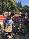 Antifa w USA