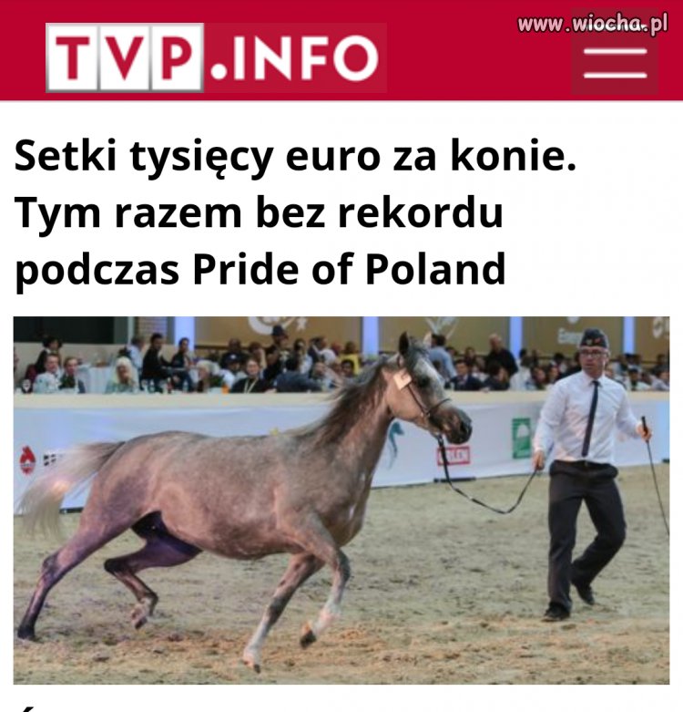 Nie ma jak propaganda sukcesu nawet w przypadku klapy