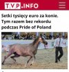 Nie ma jak propaganda sukcesu nawet w przypadku klapy