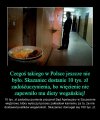 To już lekka przesada...