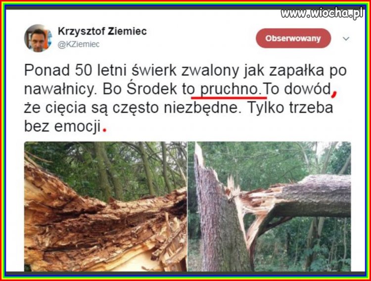 Gwiazda TVP info... 