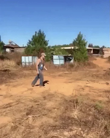 Uwaga naku..iam salto