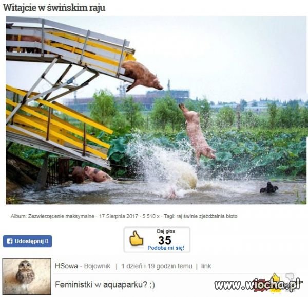 Heheszki