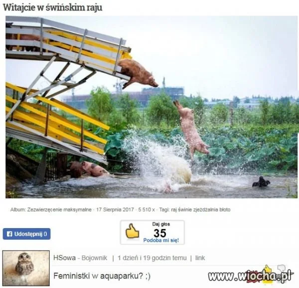 Heheszki