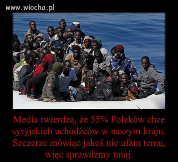 Uchodźcy nie są nam absolutnie do niczego potrzebni.