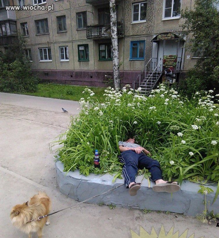 Takie tam...