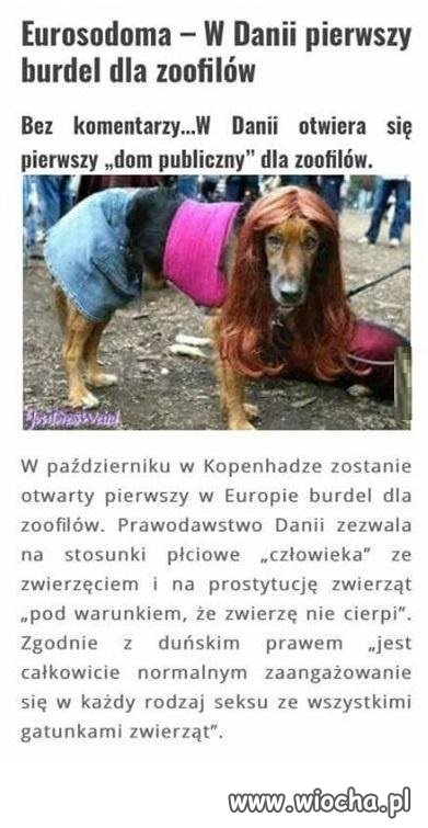Fury się ucieszą