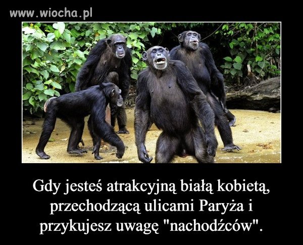 Coś w tym stylu