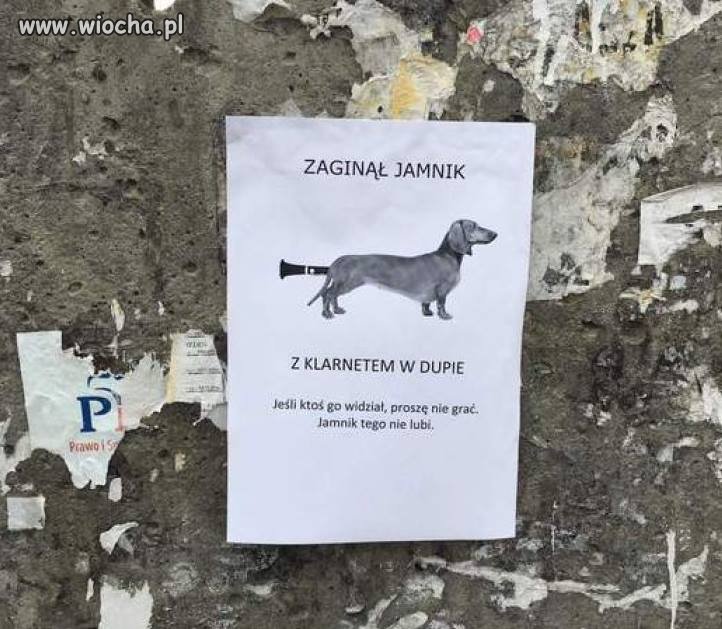 Ogłoszenie parafialne. 