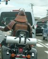 Japonia 2017