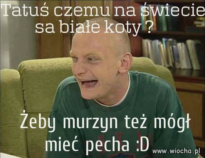 Walduś jajcarz.