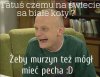 Walduś jajcarz.