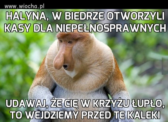 Będzie szybciej hehe