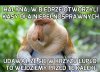 Będzie szybciej hehe