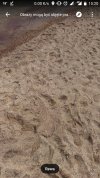 Tajemnica plaży w Rewie