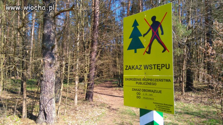 Nowe znaki w Puszczy Białowieskiej