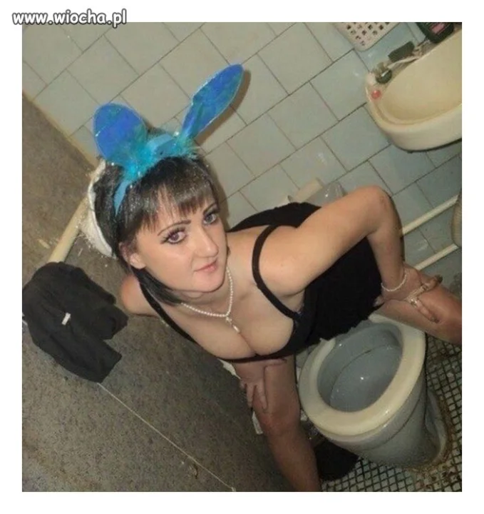 Króliczek kibla