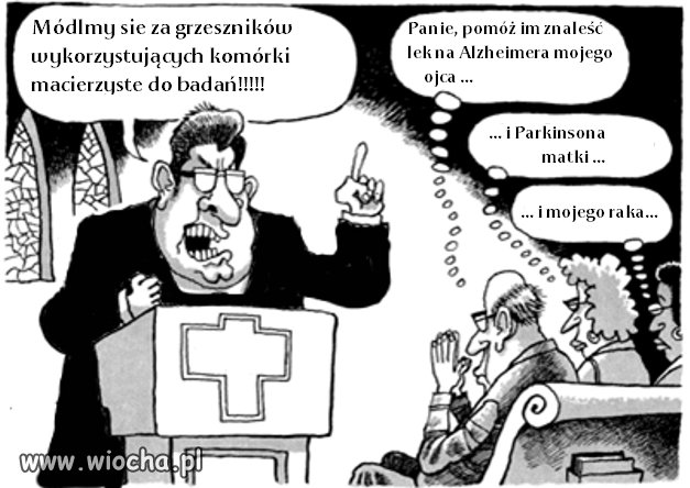 Kolejna krucjata