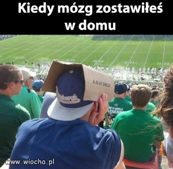 Kibic...