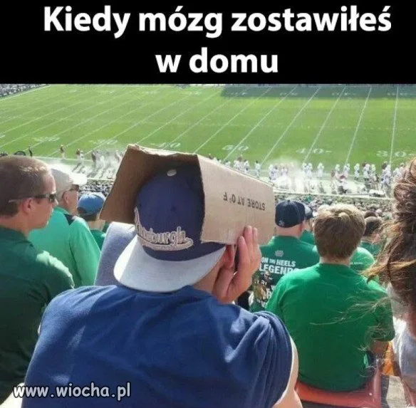 Kibic...