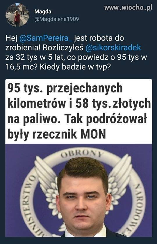 Portugalczyk i jego detektywi zapęd