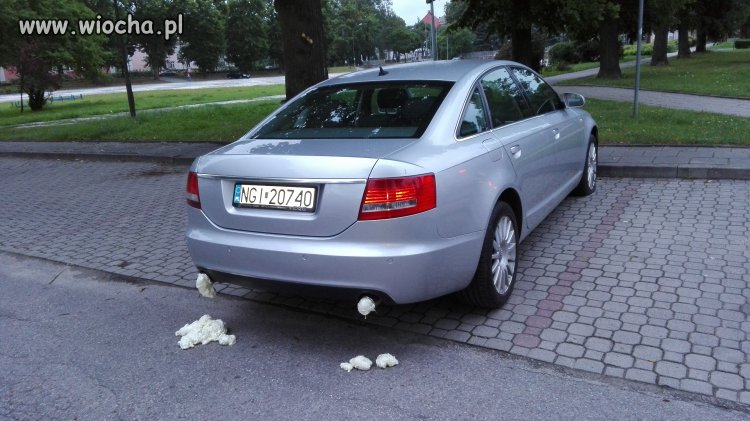 Ukarany szeryf.