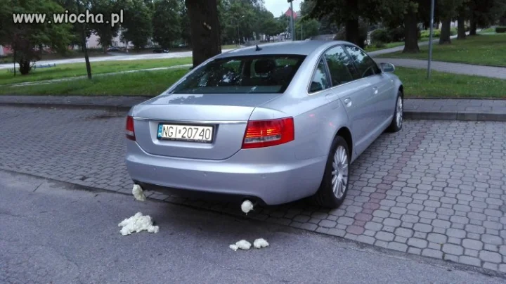 Ukarany szeryf.