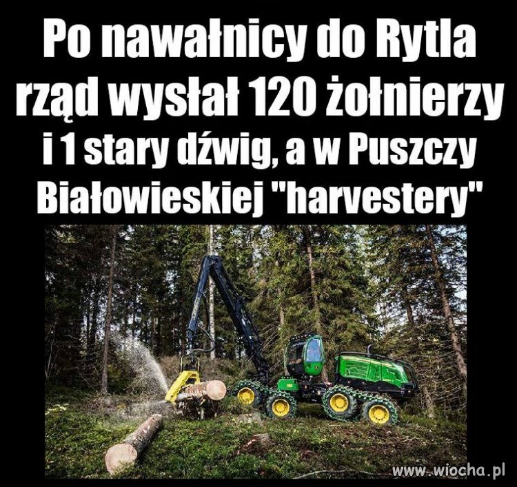 Bo liczy się tylko kasa... 
