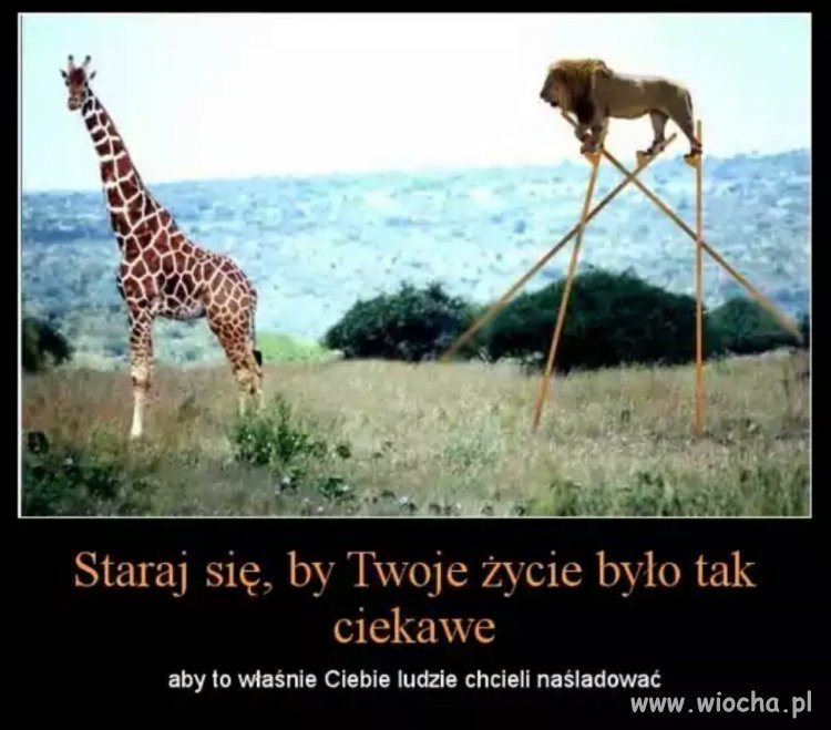 Życiowe motto