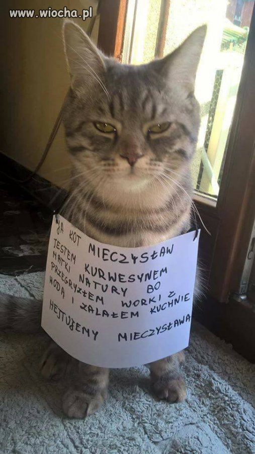 Mieczysław
