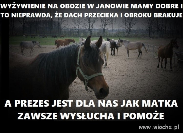Z przymrużeniem oka