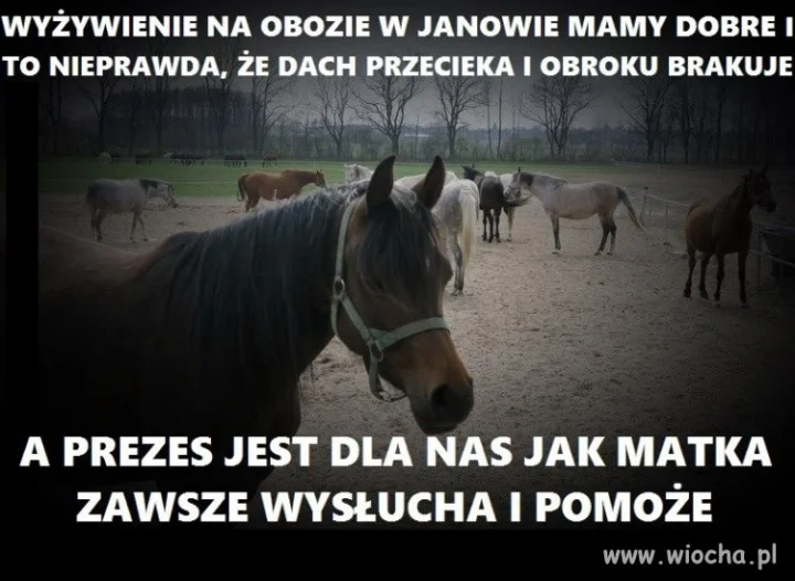 Z przymrużeniem oka