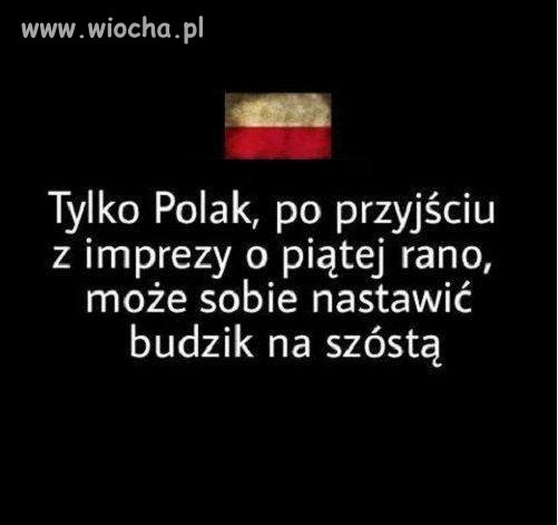 Tylko Polak tak potrafi