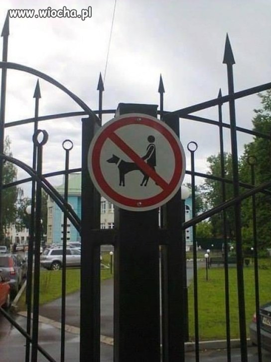 Na wypadek gdyby ciapate