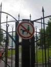 Na wypadek gdyby ciapate