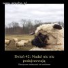 Sytuacja jak Gowin był