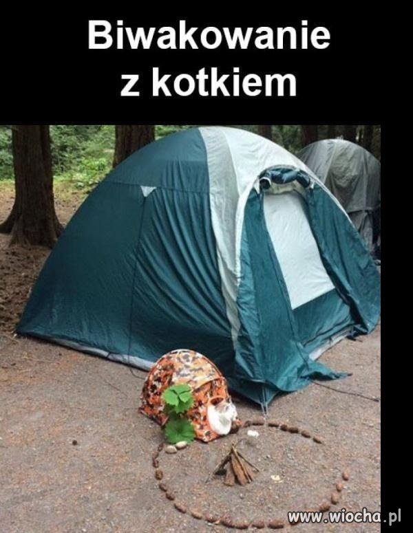 Biwakowanie z kotkiem