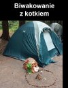 Biwakowanie z kotkiem